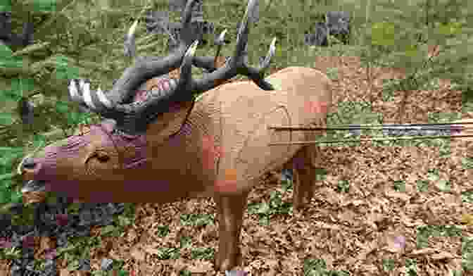 A Bowhunter Stealthily Approaching His Target In The Wilderness Feather Sticks: Bowhunting And Fly Fishing Adventures