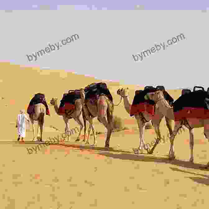 A Camel Trekking Through The Desert An Alphabet Of Quadrupeds Comprising Descriptions Of Their Appearance And Habits