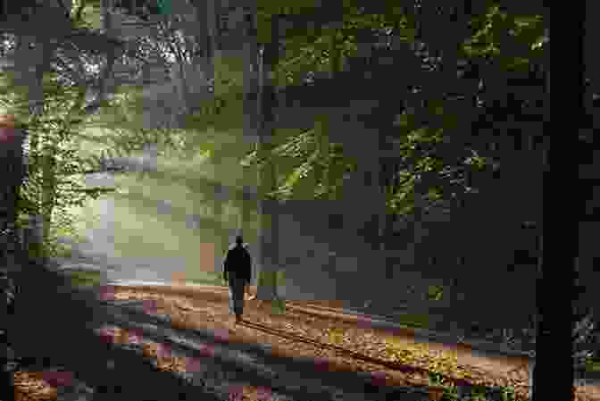 A Couple Practicing Mindful Walking In A Peaceful Forest Setting How To Walk (Mindfulness Essentials 4)