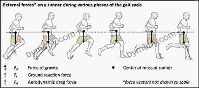 A Diagram Illustrating The Biomechanics Of Running, Showing The Forces Acting On The Body The Science Of Running: How To Find Your Limit And Train To Maximize Your Performance