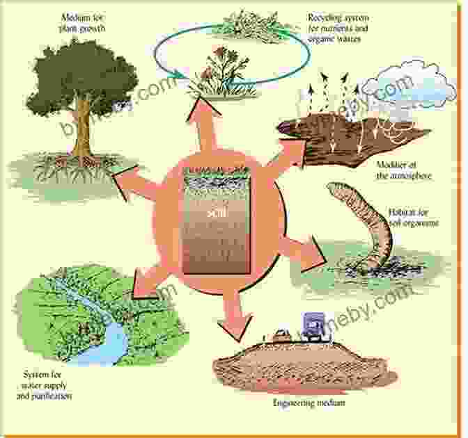 A Diverse Garden With A Variety Of Plant And Animal Species, Promoting Soil Health And Ecosystem Balance The Practical Permaculture Project: Connect To Nature And Discover The Best Organic Soil And Water Management Techniques To Design And Build Your Thriving Sustainable Self Sufficient Garden