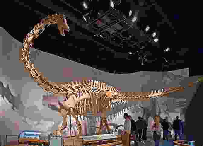 A Massive Skeleton Of A Diplodocus Dinosaur, Known As Andrew Carnegie Dinosaur, On Display At The Carnegie Museum Of Natural History Bone Wars: The Excavation And Celebrity Of Andrew Carnegie S Dinosaur