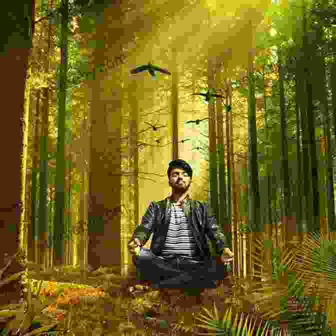 A Person Meditating In A Forest, Representing The Connection Between Faith And Nature Out Of The Woods: Nature Sexuality And Faith In The Forest