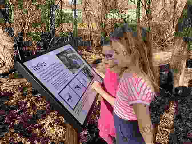 A Person Reading Nature Signs In The Forest The Lost Art Of Reading Nature S Signs: Use Outdoor Clues To Find Your Way Predict The Weather Locate Water Track Animals And Other Forgotten Skills