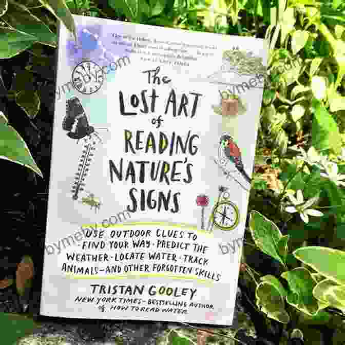 A Person Reading 'The Lost Art Of Reading Nature Signs' Book The Lost Art Of Reading Nature S Signs: Use Outdoor Clues To Find Your Way Predict The Weather Locate Water Track Animals And Other Forgotten Skills