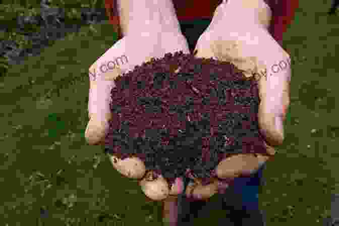 A Pile Of Compost Created From Organic Materials, Providing Nutrients To The Soil The Practical Permaculture Project: Connect To Nature And Discover The Best Organic Soil And Water Management Techniques To Design And Build Your Thriving Sustainable Self Sufficient Garden