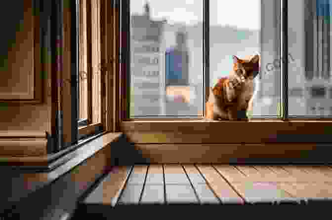 A Serene Cat Perched On A Windowsill, Gazing Out At The World. My Little Stray Cat 5 Lynsay Sands