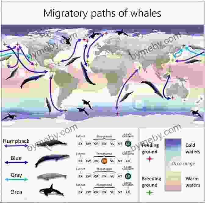 A Vast And Endless Expanse Of The Open Sea, Highlighting The Migratory Patterns And Behaviors Of Marine Life. The Secret Of The Sea: Manga Fantasy Romance Comic Adult Version