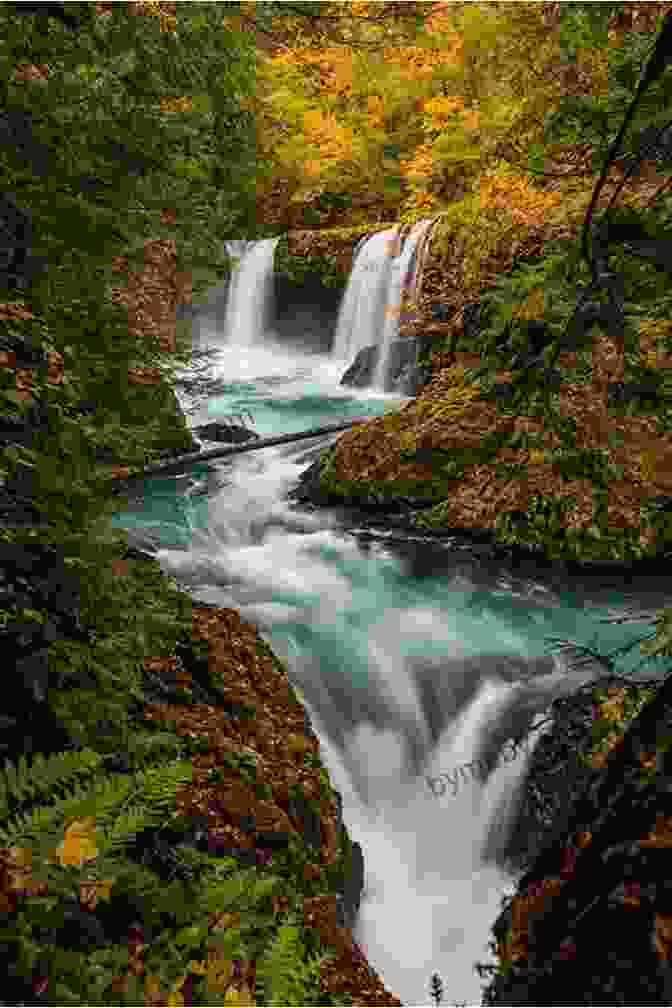 A Vintage Postcard Capturing The Breathtaking Scenery Of The Columbia River Gorge, With Waterfalls Cascading Down Steep Cliffs The Good Rain: Across Time Terrain In The Pacific Northwest (Vintage Departures)