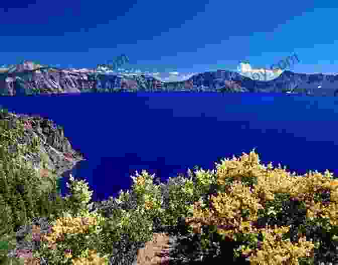 A Vintage Postcard Showcasing The Vibrant Blue Waters Of Crater Lake Surrounded By Towering Cliffs The Good Rain: Across Time Terrain In The Pacific Northwest (Vintage Departures)