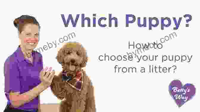 A Woman Choosing A Puppy From A Litter. Perfect Puppy In 7 Days: How To Start Your Puppy Off Right