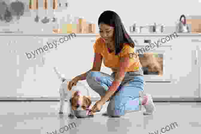 A Woman Feeding A Puppy. Perfect Puppy In 7 Days: How To Start Your Puppy Off Right