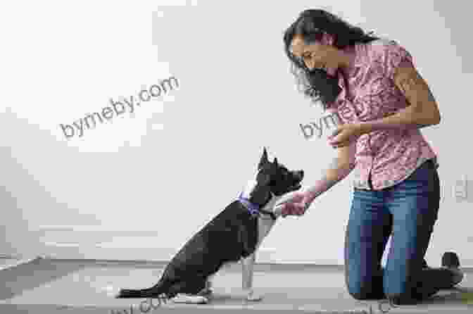 A Woman Training A Puppy. Perfect Puppy In 7 Days: How To Start Your Puppy Off Right