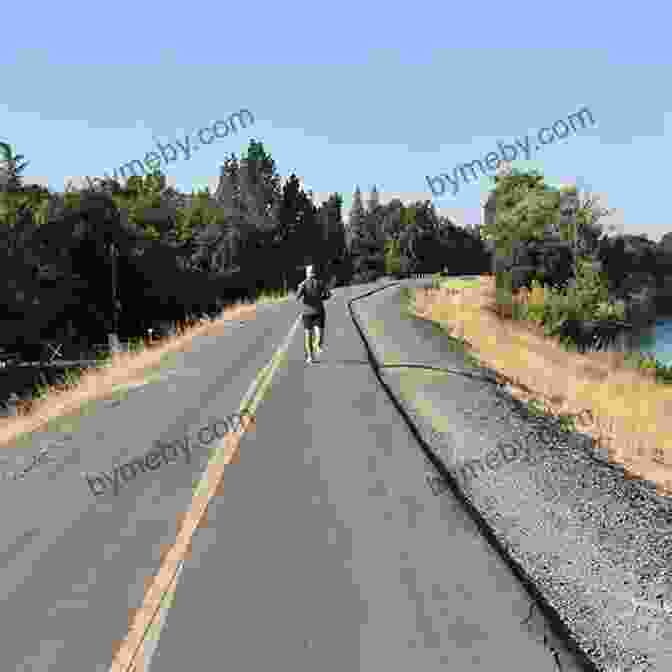 American River Bike Trail Best Rail Trails California: More Than 70 Rail Trails Throughout The State (Best Rail Trails Series)