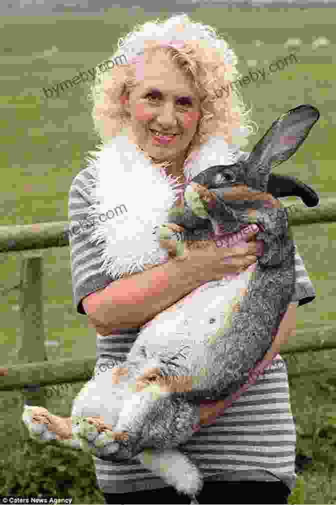 Big Bunny Steve Henry With His Owner, Annette Edwards Here Is Big Bunny Steve Henry