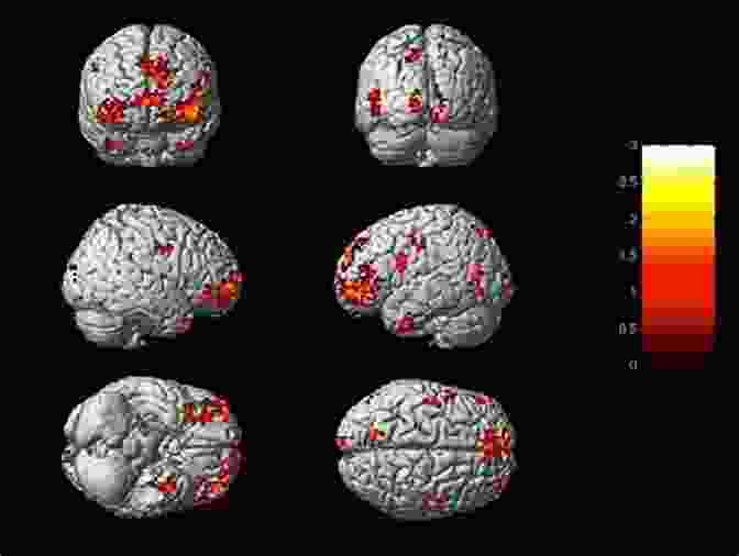 Brain Scan Showing Emotional Activation During A Marketing Campaign The Attention Merchants: The Epic Scramble To Get Inside Our Heads