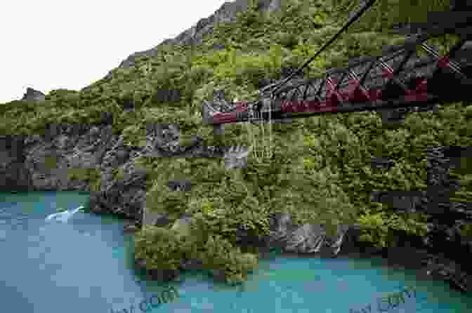 Bungee Jumper Leaping From The Kawarau Gorge Suspension Bridge TERRANCE TALKS TRAVEL: A Pocket Guide To New Zealand