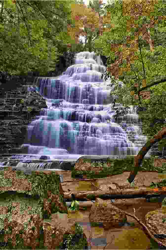 Cascading Waterfall Surrounded By Lush Greenery, Glacier National Park Mountain Magic Photography: Glacier National Park