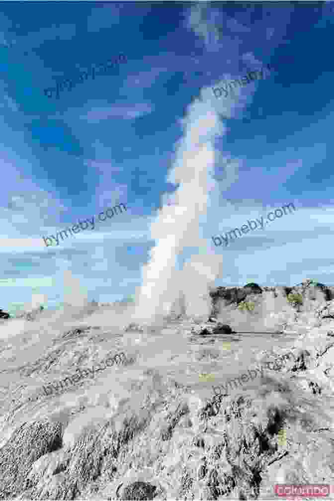 Erupting Geyser In Rotorua TERRANCE TALKS TRAVEL: A Pocket Guide To New Zealand