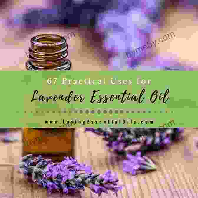 Essential Oils For Practical Applications Essential Oils For Pregnancy Birth Babies