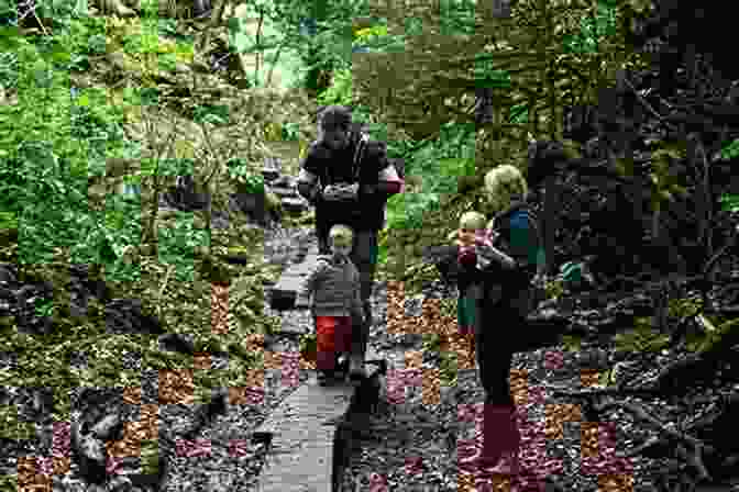 Ethan And Luna Exploring The Forest In Spring Seasons Of Love: A Childrens Story