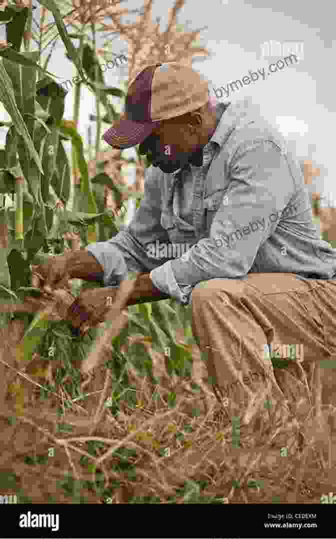 Farmer Tending To Crops In A Serene Countryside Farmer Takes A Wife (The Serenity 3)