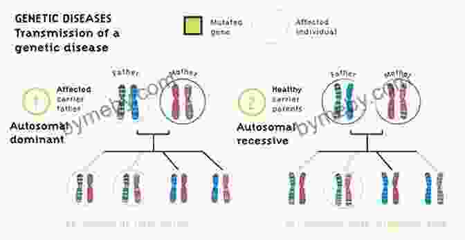 Genetic Basis Of Human Diseases The Journey Of Man: A Genetic Odyssey