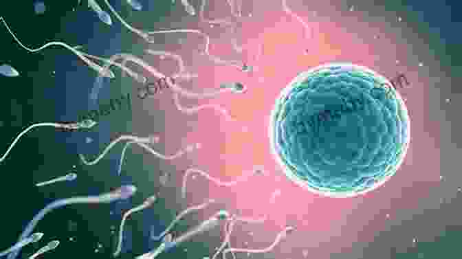 Healthy Sperm Cells Swimming Towards An Egg Best Methods To Boost Healthy And Sperm Fertility: Healthy Sperm Have A Better Chance Of Creating A Pregnancy