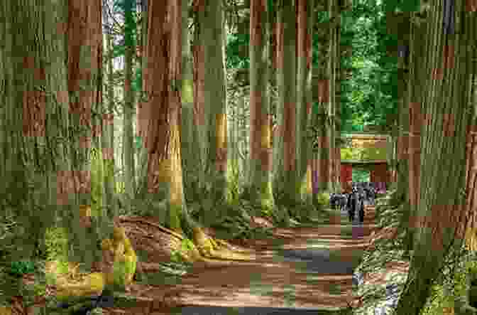 Hikers Climbing Stone Steps Leading To Togakushi Shrine In Nagano, Japan Hiking Walking And Biking Nagano: 16 Tours In Karuizawa And Environs