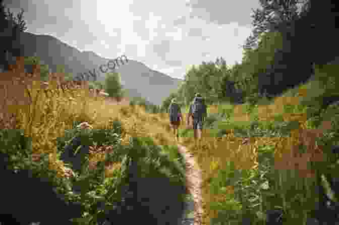 Hikers Trekking Through A Lush Green Forest In Nagano, Japan Hiking Walking And Biking Nagano: 16 Tours In Karuizawa And Environs