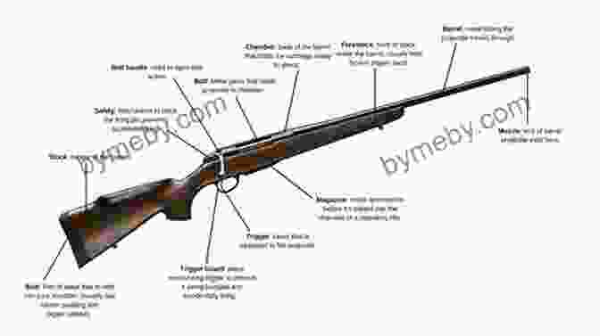 Image Of A Bolt Action Hunting Rifle Illustrating The Critical Components Of The Action. Shooter S Bible Guide To The Hunting Rifle And Its Ammunition