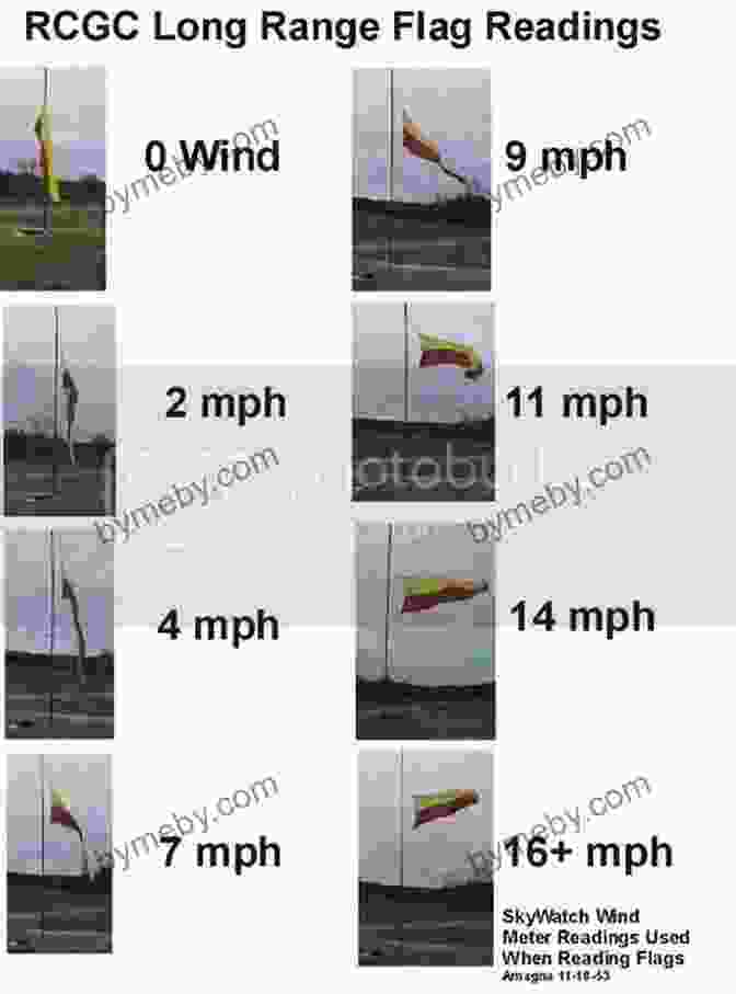 Infographic Showcasing Wind Reading Techniques, Including Wind Flags, Mirage Reading, And Observing Vegetation Movement Practical Shooting: Essays On Shooting Tactics And Training From A Grandmaster