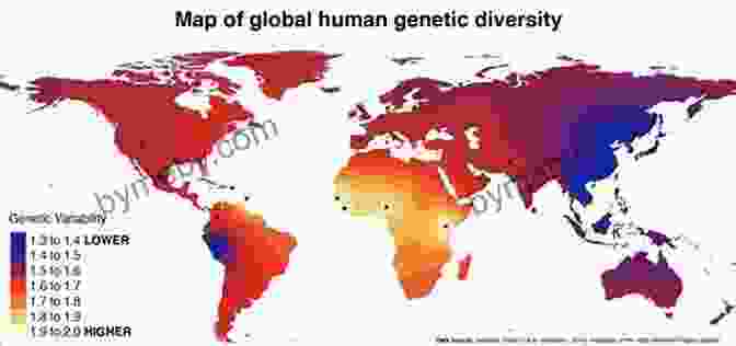 Map Of Human Genetic Diversity The Journey Of Man: A Genetic Odyssey