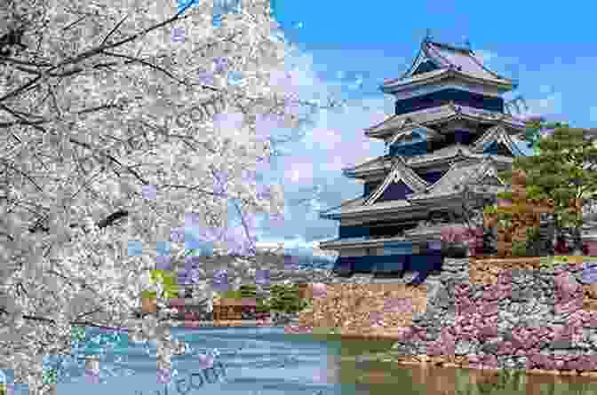 Matsumoto Castle Surrounded By Cherry Trees In Full Bloom In Nagano, Japan Hiking Walking And Biking Nagano: 16 Tours In Karuizawa And Environs