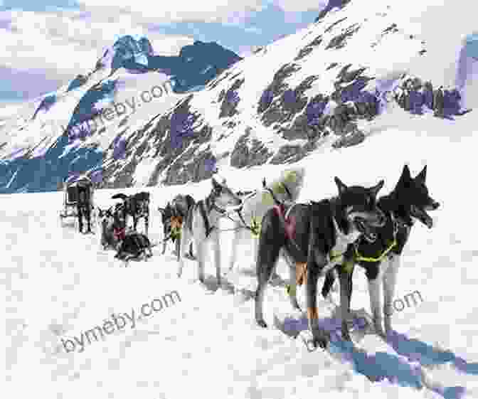 Musher Leading A Dog Team Through The Alaskan Wilderness Beyond Ophir: Confessions Of An Iditarod Musher An Alaska Odyssey