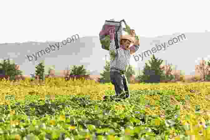 Organic Farming And Sustainable Agriculture Practices. Food Consumption In Global Perspective: Essays In The Anthropology Of Food In Honour Of Jack Goody (Consumption And Public Life)