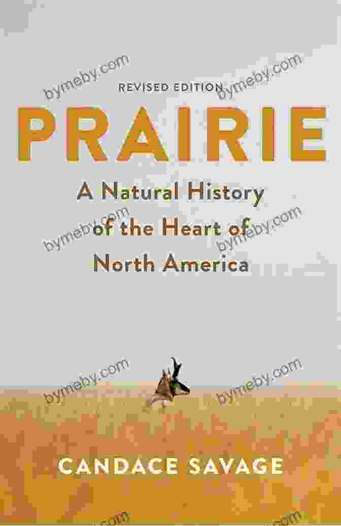 River In Dry Land Prairie Passage Book Cover River In A Dry Land: A Prairie Passage