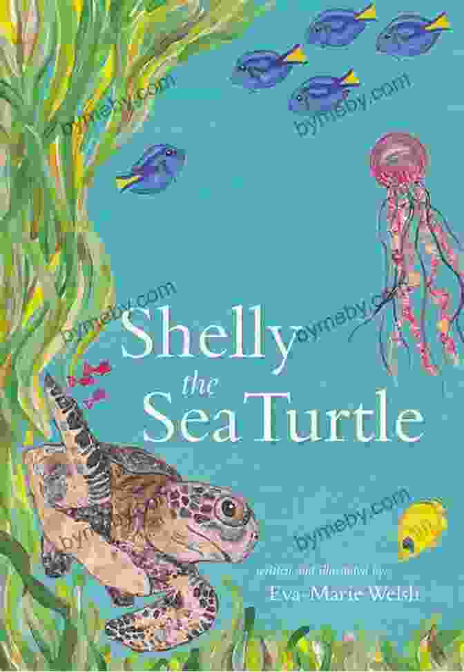 Sea Turtle Time Book Cover Sea Turtle Time Scott Peters