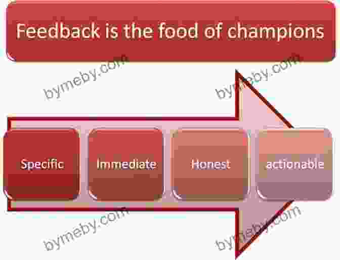 The Value Of Feedback: Embracing Critique PhraseBook For Writing Papers And Research In English