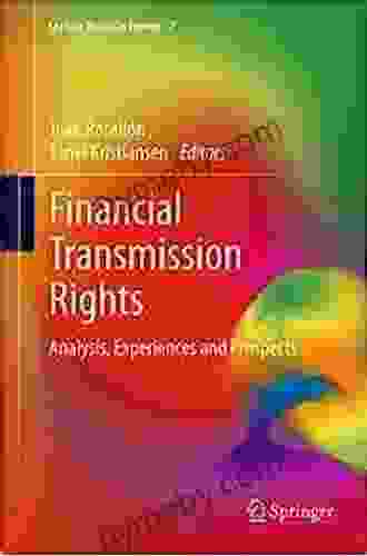 Financial Transmission Rights: Analysis Experiences and Prospects (Lecture Notes in Energy 7)