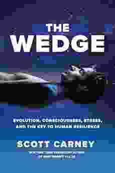 The Wedge: Evolution Consciousness Stress and the Key to Human Resilience