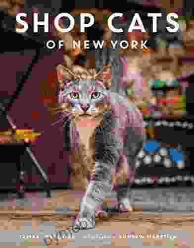 Shop Cats Of New York