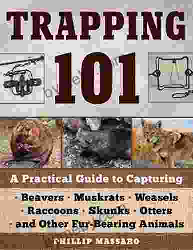 Trapping 101: A Complete Guide To Taking Furbearing Animals