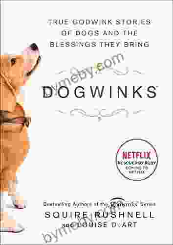 Dogwinks: True Godwink Stories of Dogs and the Blessings They Bring (The Godwink 6)