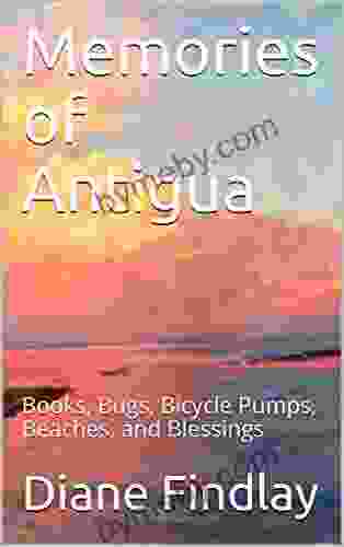 Memories Of Antigua: Bugs Bicycle Pumps Beaches And Blessings