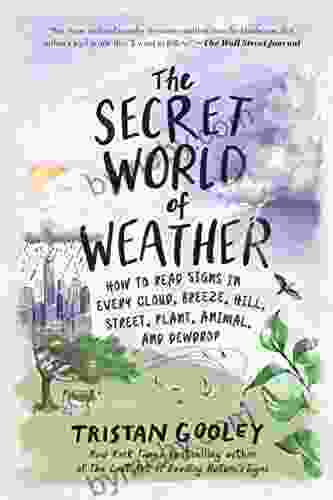 The Secret World Of Weather: How To Read Signs In Every Cloud Breeze Hill Street Plant Animal And Dewdrop (Natural Navigation)
